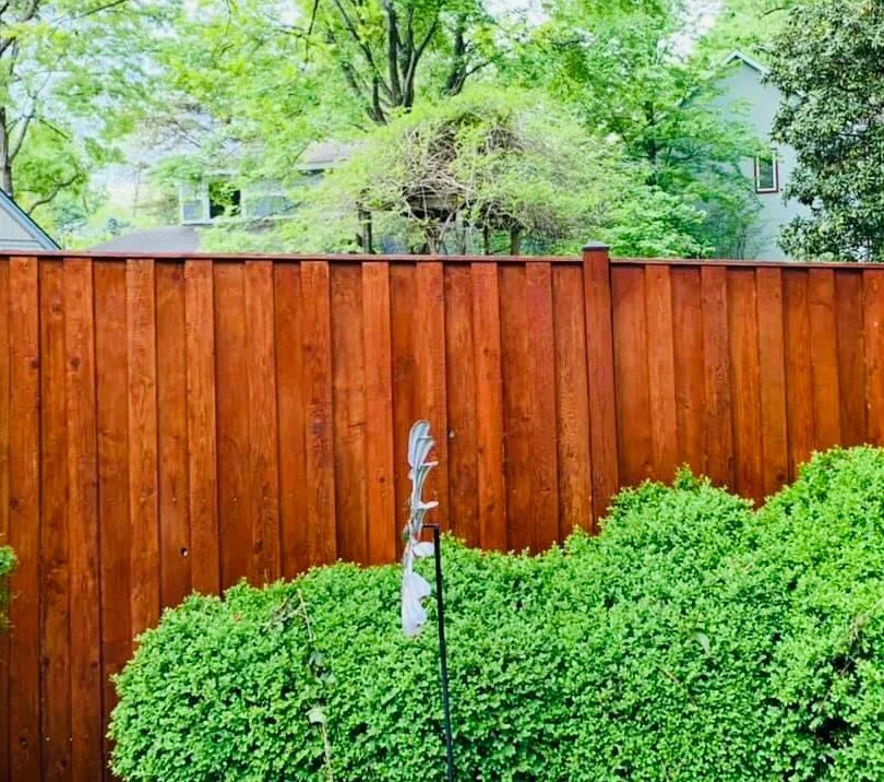 Wooden privacy fence washed and sealed